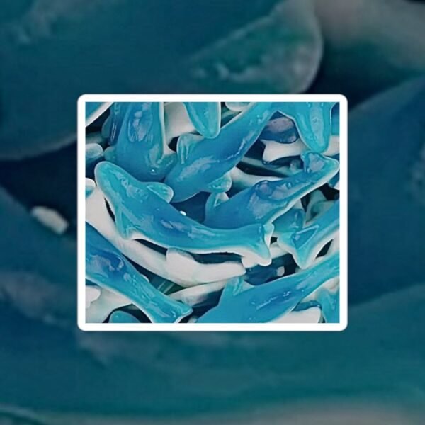 REQUINS BLEU